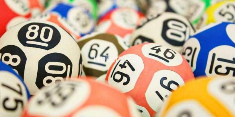 Nên nuôi đề chập từ 3 - 5 ngày khi nhận định rõ dấu hiệu 